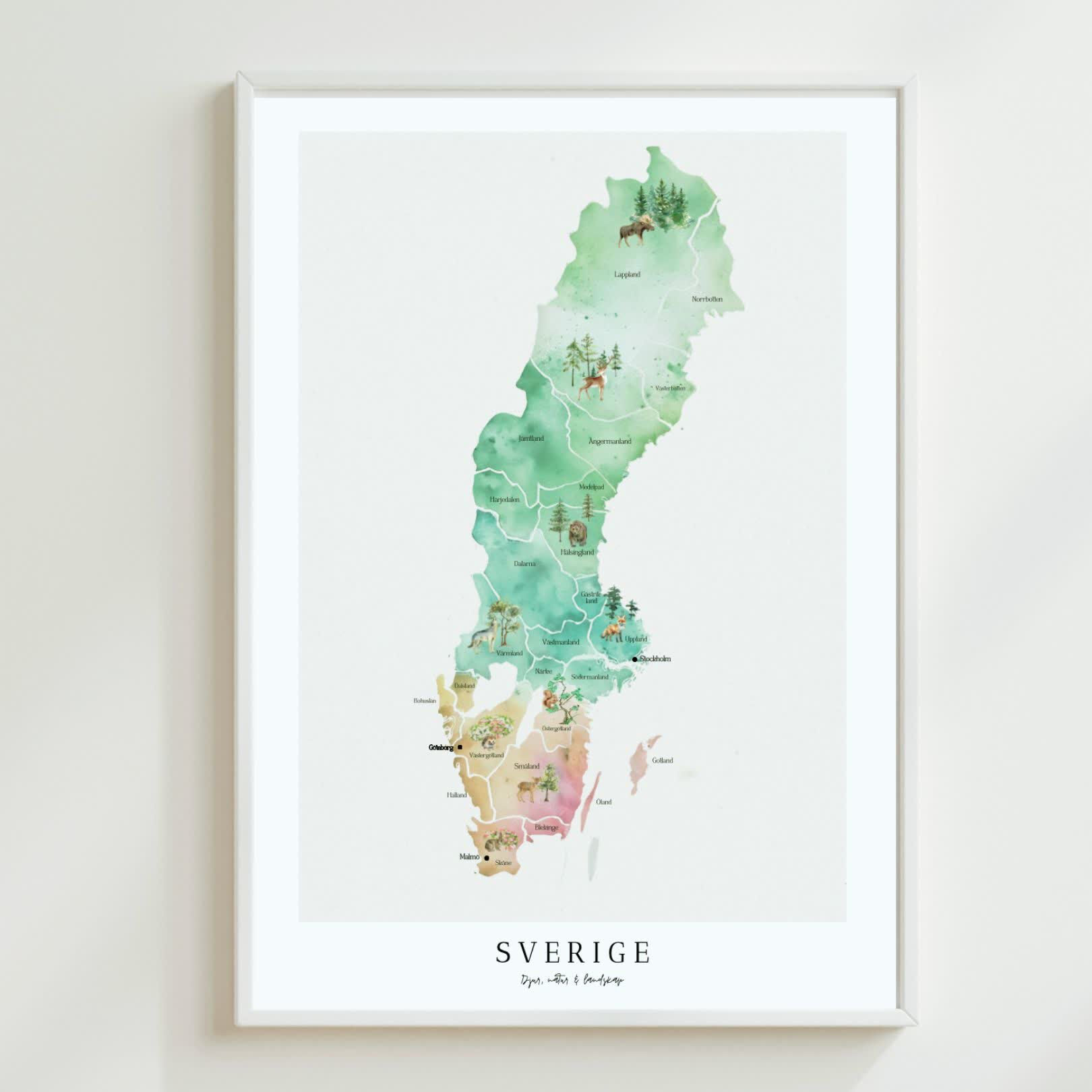 Inspirera och utbilda dina elever med vår vackra Sverigekarta i vattenfärg! Perfekt för klassrummet, denna karta visar Sveriges regioner: Norrland i grönt, Svealand i blått och Götaland i orange. Kartan finns i tre olika bakgrunder: vit, beige eller blå, och rekommenderas i minst A3-format för bästa detaljrikedom.  Varianter. Du får alla 4 olika varianter på köpet: Tom, Landskap och storstäder, Djur och natur eller Landskap, städer, djur och natur.  Denna karta är en ovärderlig resurs som gör klassrummet mer visuellt och lärorikt.