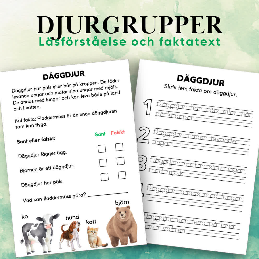 Djurgrupper är ett lärorikt material med 10 sidor som introducerar barn till fem vanliga djurgrupper. Med faktatexter, läsförståelsefrågor och bilder av typiska djur inom varje grupp, erbjuder materialet en interaktiv inlärningsupplevelse som även stärker finmotoriken och skrivförmågan.